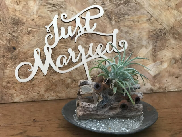 会場の雰囲気を彩る印象的なオープニング映像